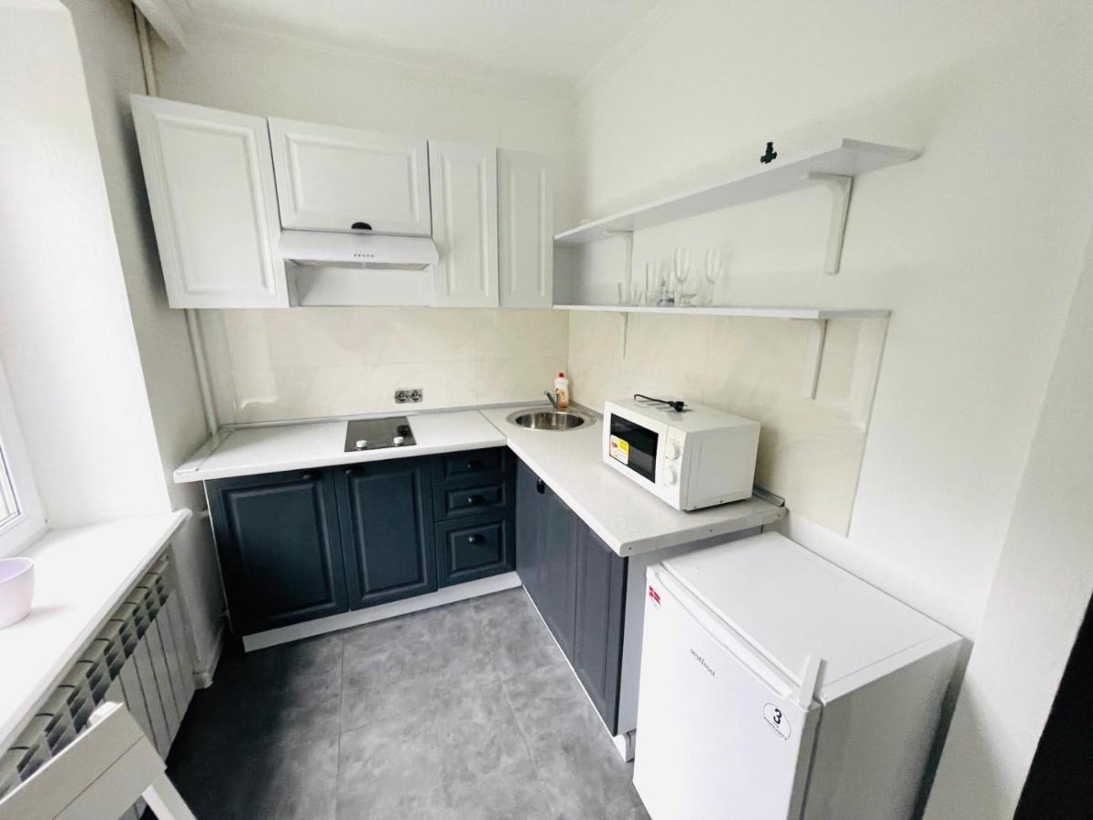 Premium Rent In Kiev Centre - Kiev Lägenhet Exteriör bild